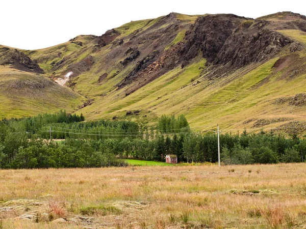 Travní Střešní Dům Horké Jaro Islandu — Stock fotografie