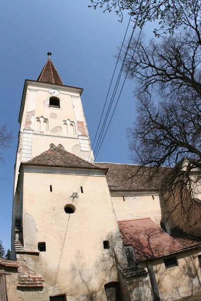 Roemenië Sura Mare Grote Schrobben — Stockfoto