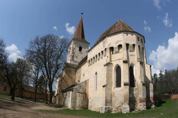 Romania Sura Mare Grandi Macchia — Foto Stock