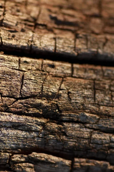 Stare Tekstury Drewna Naturalnych Wzorów — Zdjęcie stockowe