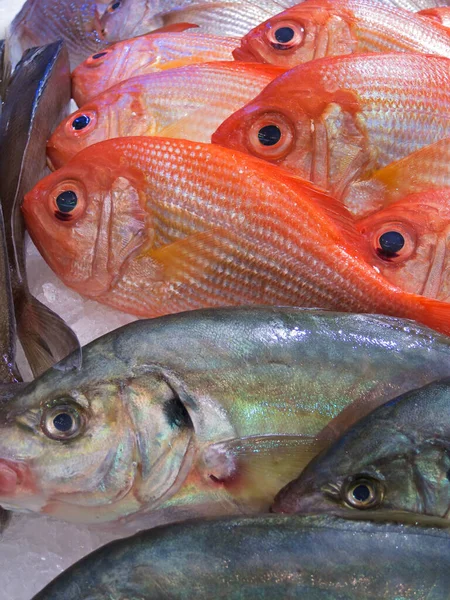 Pescado Fresco Mercado — Foto de Stock