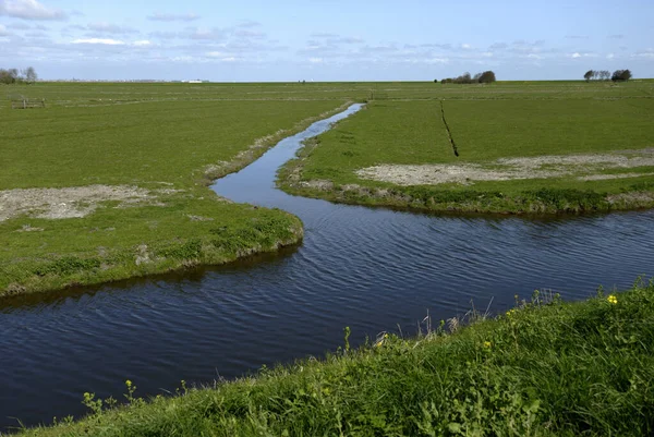 Wassergräben Auf Märschen — Stockfoto