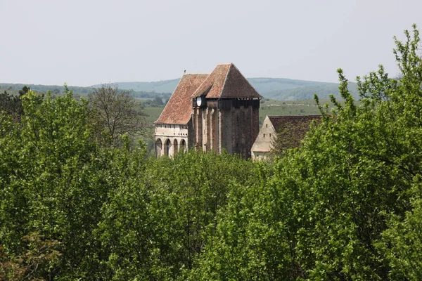 Rumänien Ett Sydösteuropeiskt Land Känt För Skogsområdet Transsylvanien — Stockfoto