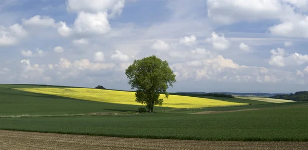 Bellissimo Paesaggio Natura Campagna — Foto Stock