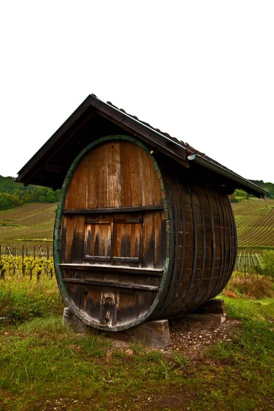 Wine Barrel France — Stock Photo, Image