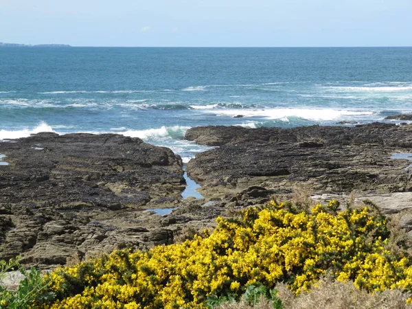 Kustlandschap Van Bretagne — Stockfoto