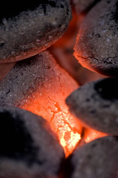 Brilho Carvão Vegetal Ovo — Fotografia de Stock