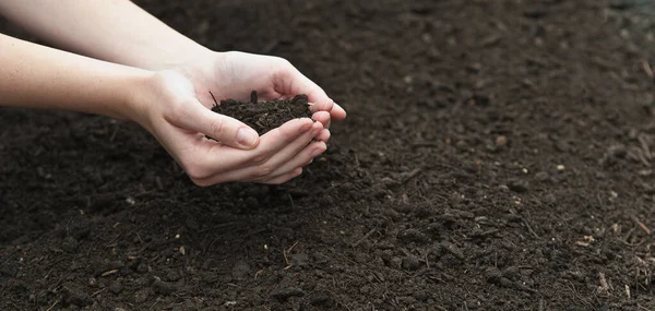 Jeune Femme Plantant Des Plantes Dans Sol — Photo