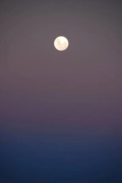 Moon Colored Blue Purple — Stock Photo, Image