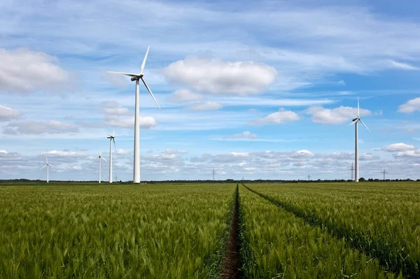 Windturbines Windenergie — Stockfoto