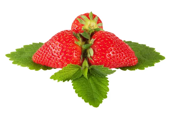 Strawberry Exact Clipping Path — Stock Photo, Image