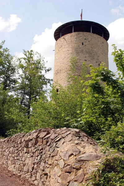 Malerischer Blick Auf Die Majestätische Mittelalterliche Burgarchitektur — Stockfoto