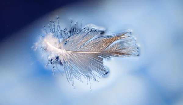 Fuente Agua — Foto de Stock