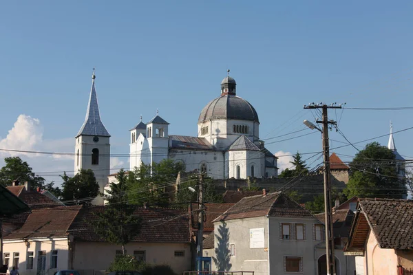 Romania Belin Villaggio Dei Fiori — Foto Stock