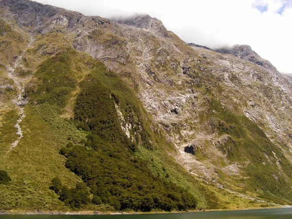 Milford Sound Yeni Zelanda — Stok fotoğraf