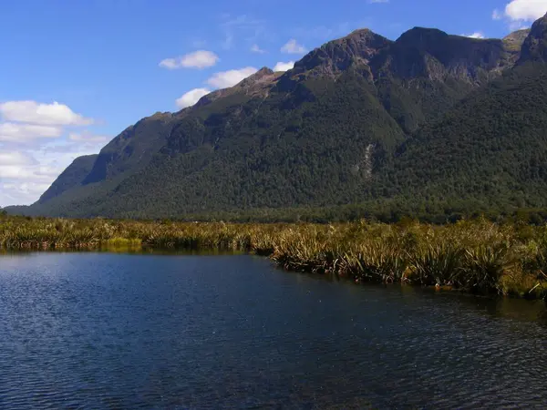 Väg Till Milford Sound — Stockfoto