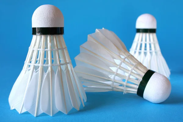 Badminton Aktivt Spel Sport — Stockfoto