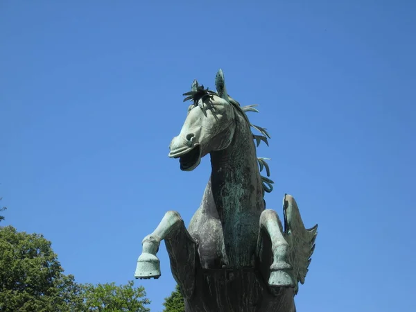 Kůň Parku Létě — Stock fotografie