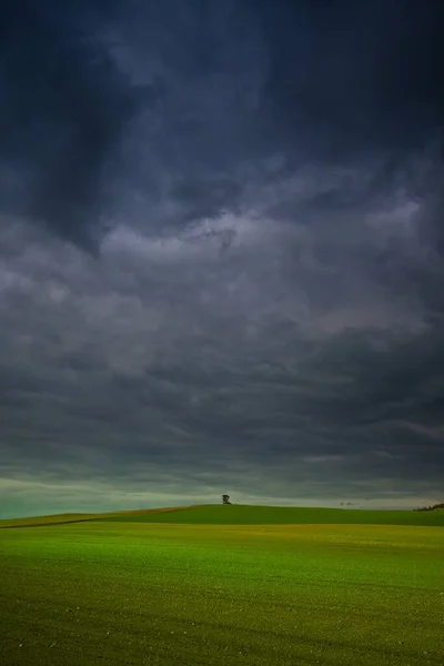 Schöne Landschaft Ländliche Natur — Stockfoto