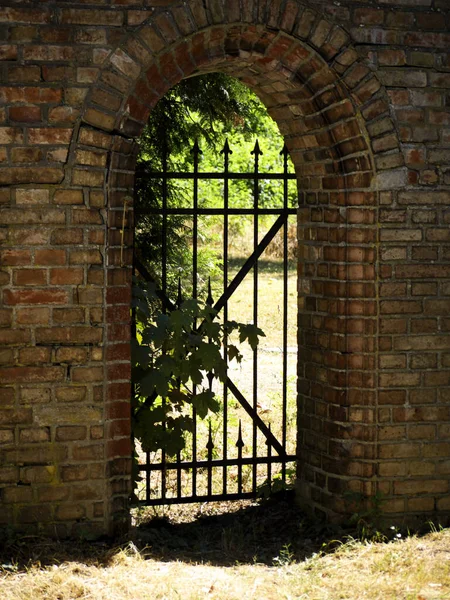 Vecchia Porta Legno Con Finestra — Foto Stock