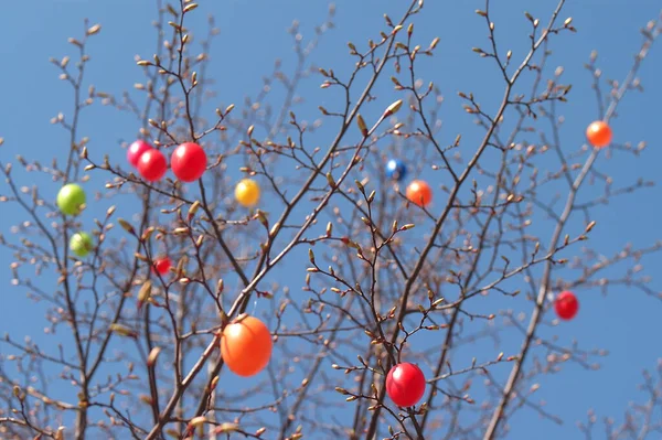 Renkli Paskalya Yumurtası Dekorasyonu — Stok fotoğraf