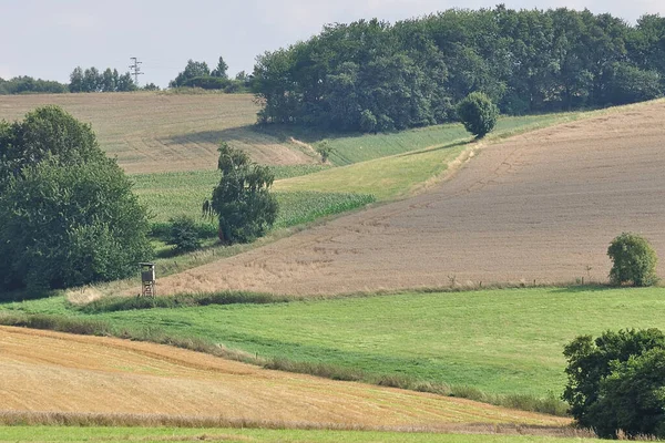 Getreideernte Auf Hohem Niveau — Stockfoto