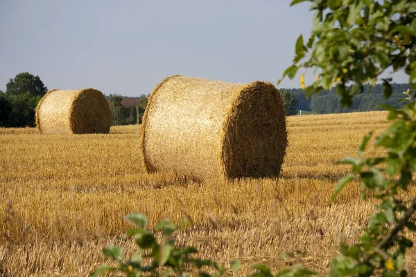 Balles Foin Sur Terrain — Photo