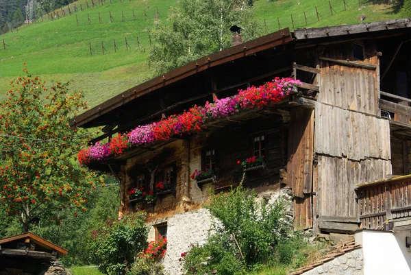 Hütte Berghütte — Stockfoto