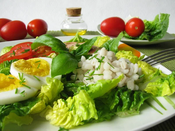 Insalata Con Grigi Orzo — Foto Stock