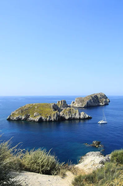 Una Riserva Naturale Area Protetta Importanza Flora Fauna Caratteristiche Interesse — Foto Stock