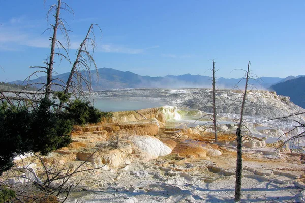 Parc National Yellowstone Est Parc National Des États Unis Cela — Photo