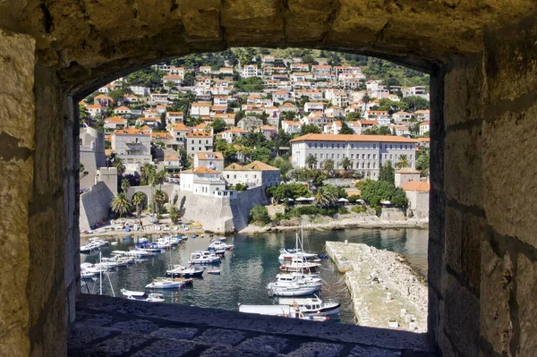 Adriatique Est Bras Septentrional Méditerranée — Photo