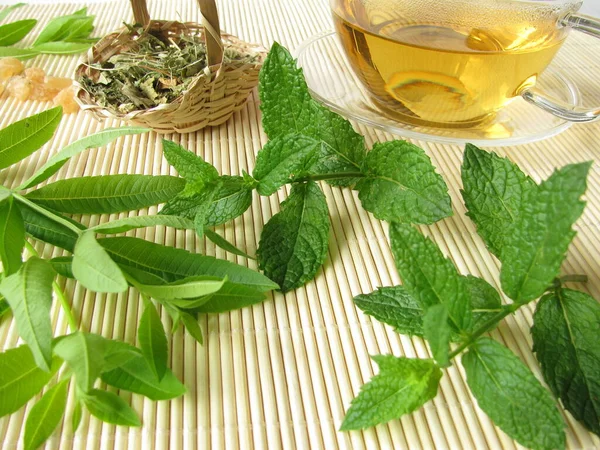 Teh Lemon Verbene Dan Maroko Mint — Stok Foto