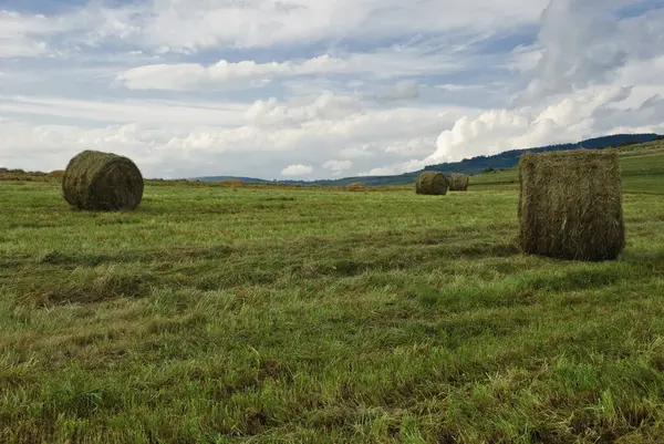 Zemědělské Pole Slámovými Balíky — Stock fotografie