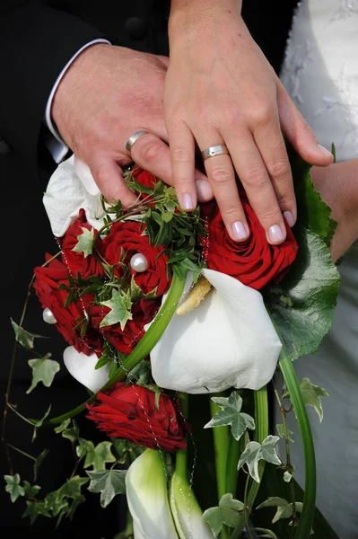 Fedi Nuziali Gioielli Del Matrimonio Fedi Fidanzamento — Foto Stock