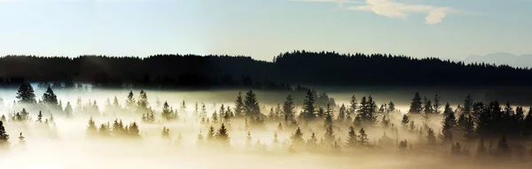 Mlhavé Ráno Horách — Stock fotografie