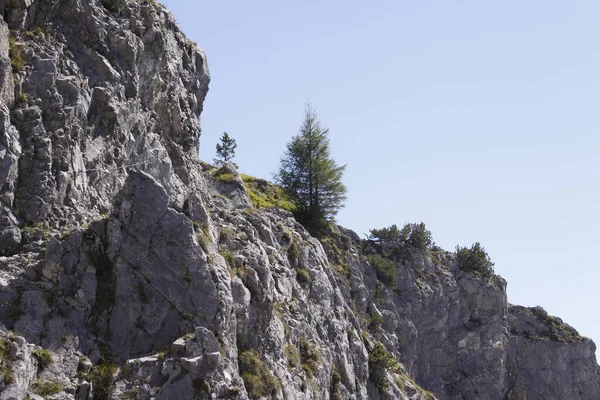 Wandelwegen Alpen — Stockfoto