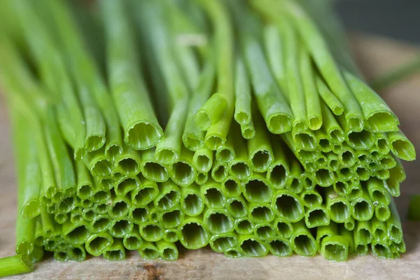 Zblízka Čerstvé Zelené Aloe Vera Rostliny — Stock fotografie