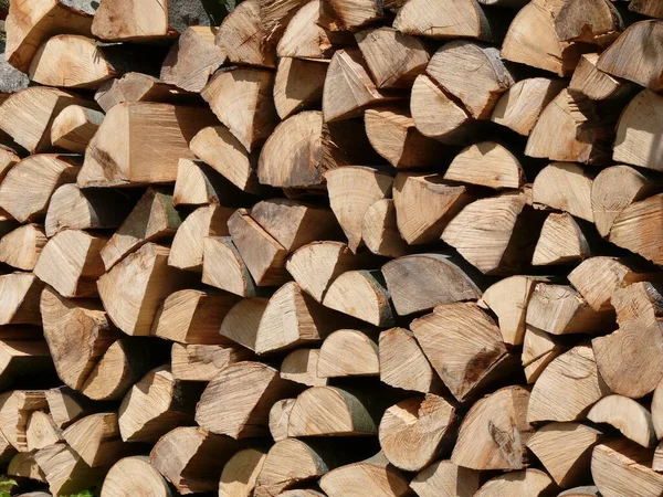 Pilas Madera Madera Árbol — Foto de Stock