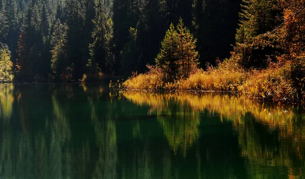 Hermoso Lago Bosque — Foto de Stock