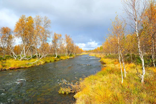 Autumn Landscape River Trees — Stock Photo, Image