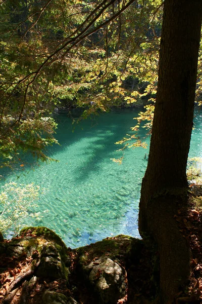 イタリアのラパッロ リグーリア州 — ストック写真