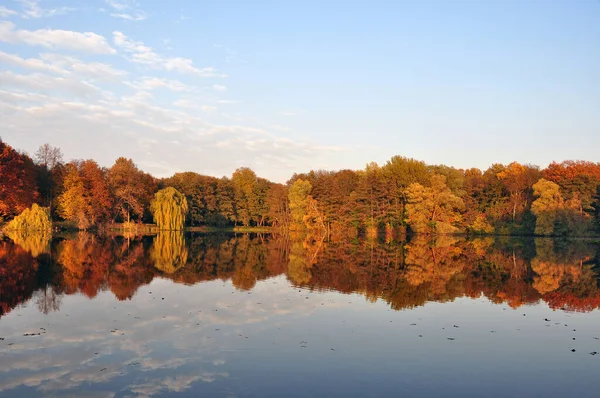 Ein Naturschutzgebiet Ist Ein Schutzgebiet Von Bedeutung Für Flora Fauna — Stockfoto