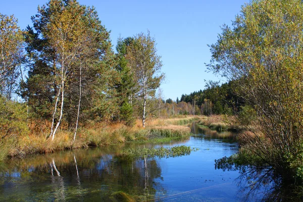 Přírodní Rezervace Chráněná Oblast Významem Pro Flóru Faunu Nebo Rysy — Stock fotografie