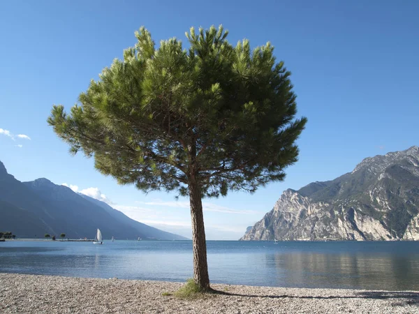 イタリア ガルダーゼ湖の南岸に — ストック写真