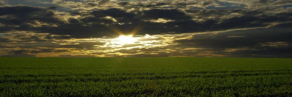 Campo Agricultura Campo Paisagem — Fotografia de Stock