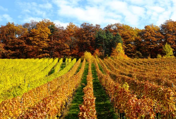 Herfst Korb Remstal — Stockfoto