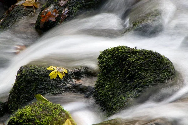 Cachoeira Floresta — Fotografia de Stock