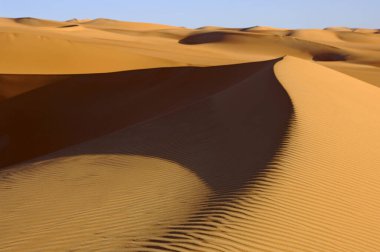 Sand dune in the Sahara,Libya clipart