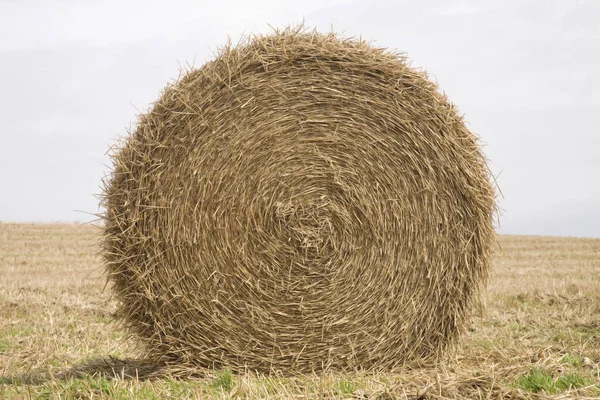 Akkerbouw Met Strobalen — Stockfoto